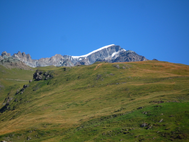 #7 Tête Blanche de By : régal pour les yeux.. Tête Blanche de By : régal pour les yeux..