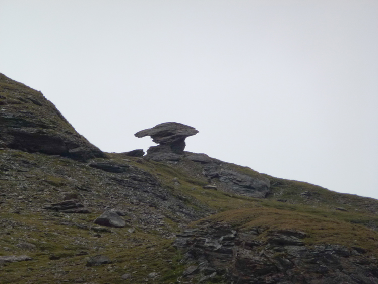 Col de Pelouse : Sculpture de schiste