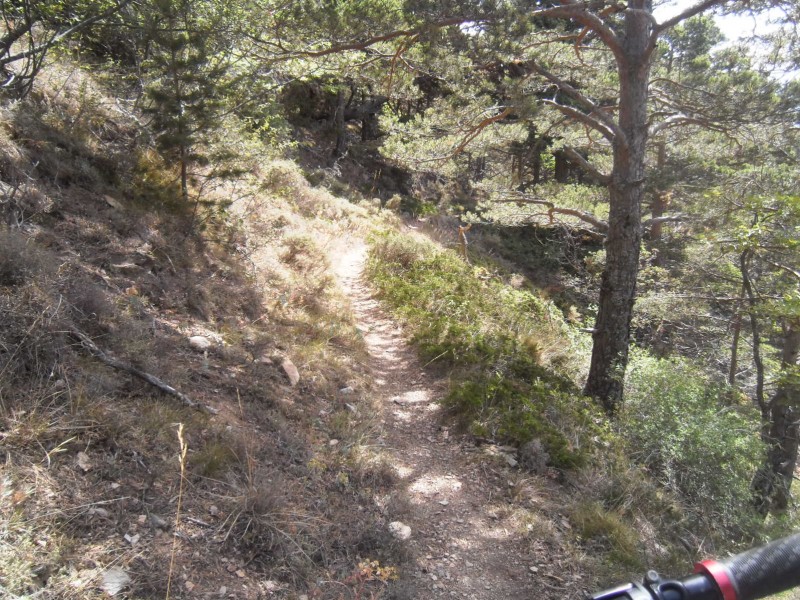 Petit single : La fin du sentier de la font del Fornell.