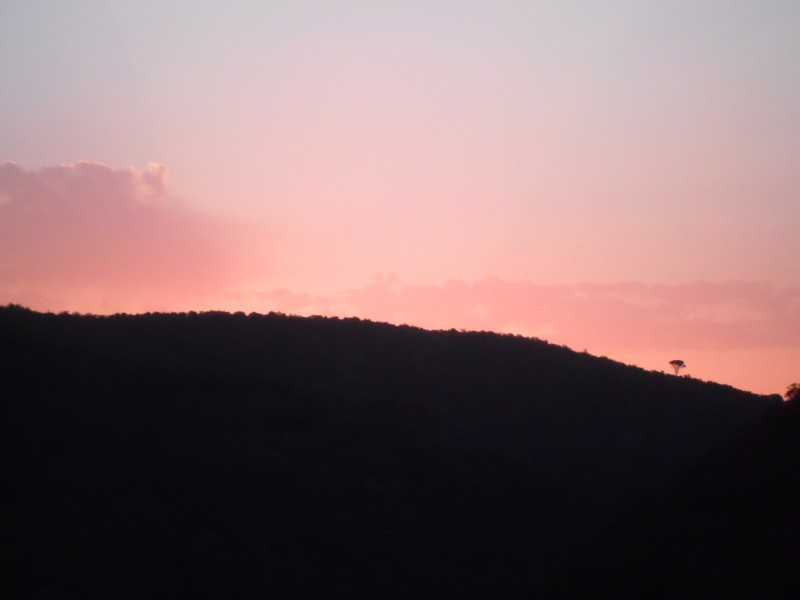 #2 Levé de soleil : Le soleil arrive sur le crête derrière moi Levé de soleil : Le soleil arrive sur le crête derrière moi