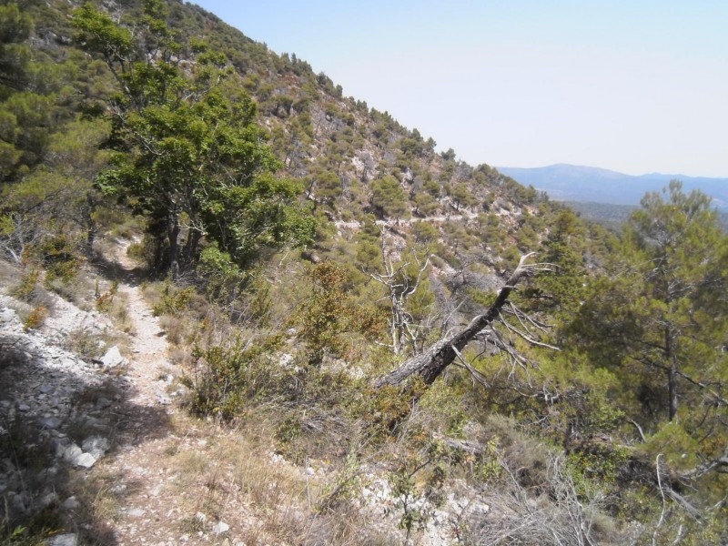 Sentier horizontal : Il a l'air beau, mais ...