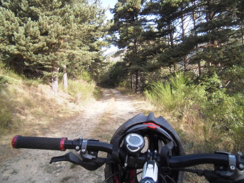 Piste de montée : ça roule à l'ombre pour ceux qui roule plus tard.