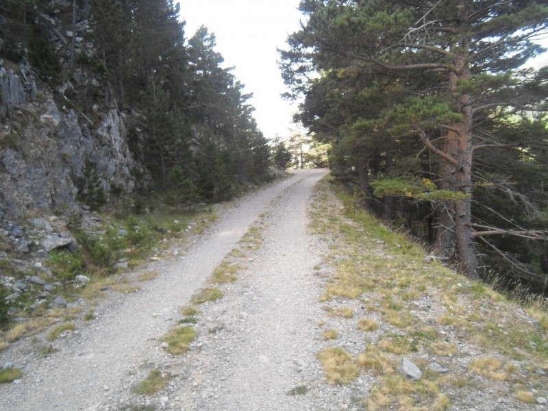 La piste après le col : Pistasse qui permet de lever les yeux !