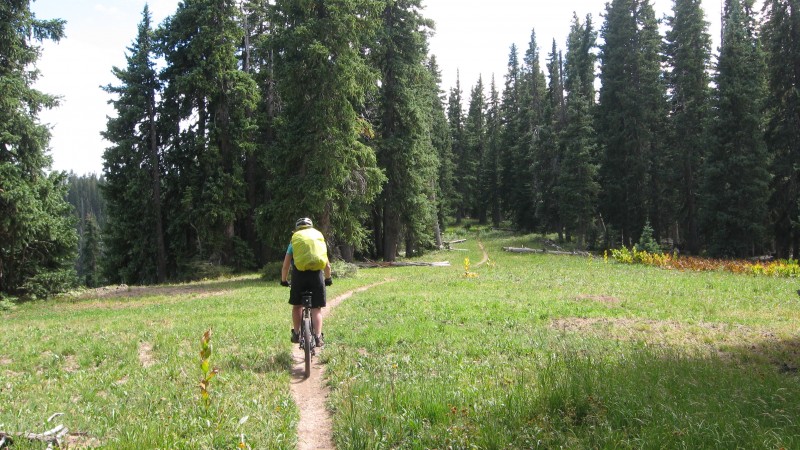 CT J3 : ca commence par méchamment rouler en forêt, avec relances en montées type enduro