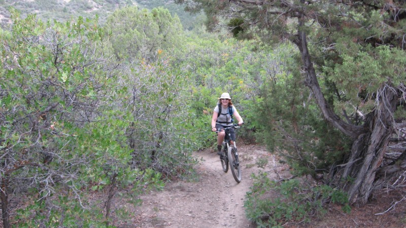 Telegraph Trail System : Bon il faisait mort chaud en même temps... mais le sentier passait tout seul à la montée !