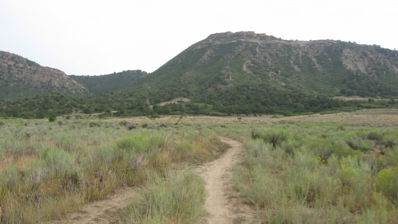 Telegraph Trail System : Début du sentier, on devrait monter sur la mesa.