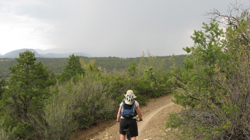 Telegraph Trail System : C'est quoi le rideau noir devant ?