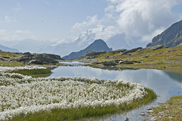 Lac du Retour : Au fond, dans la brume le massif du Mont Pourri