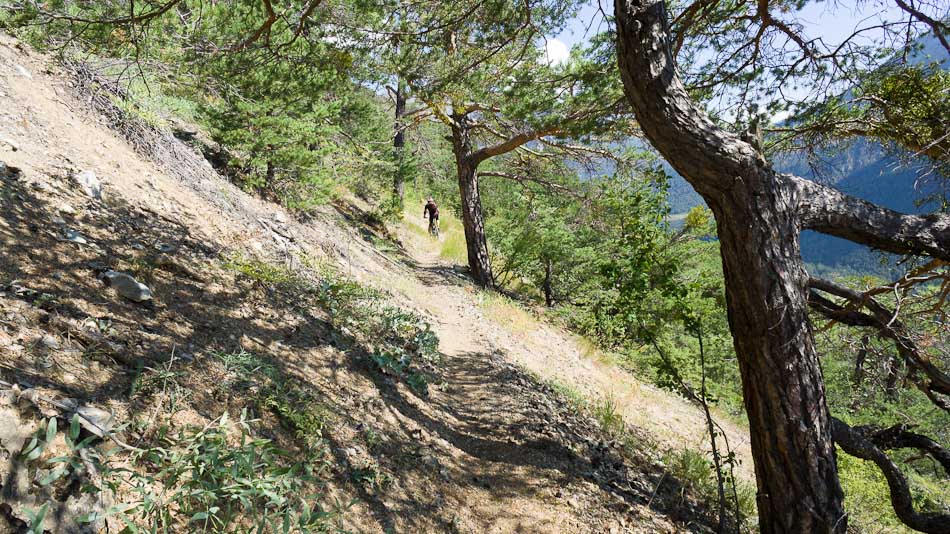 #10 Sentier n°6, : retour vers la Vachette Sentier n°6, : retour vers la Vachette