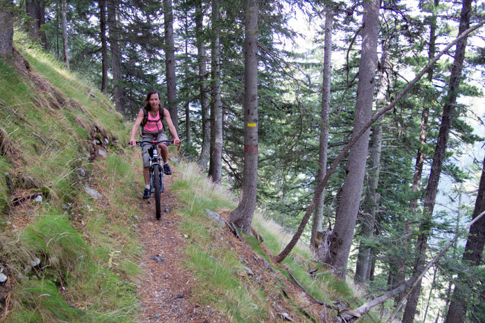 #2 Vers la b432 : jolie traversée sur sentier. Vers la b432 : jolie traversée sur sentier.