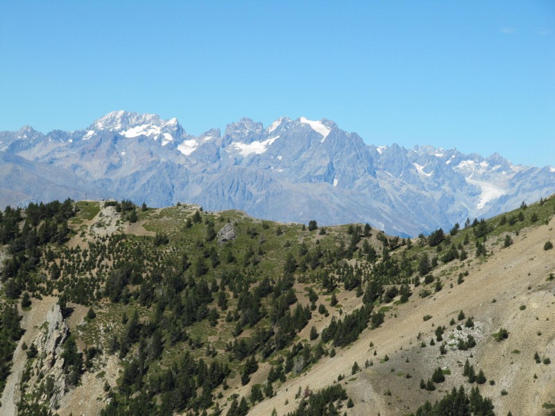 #5 le Mont Guillestre : et les écrins le Mont Guillestre : et les écrins