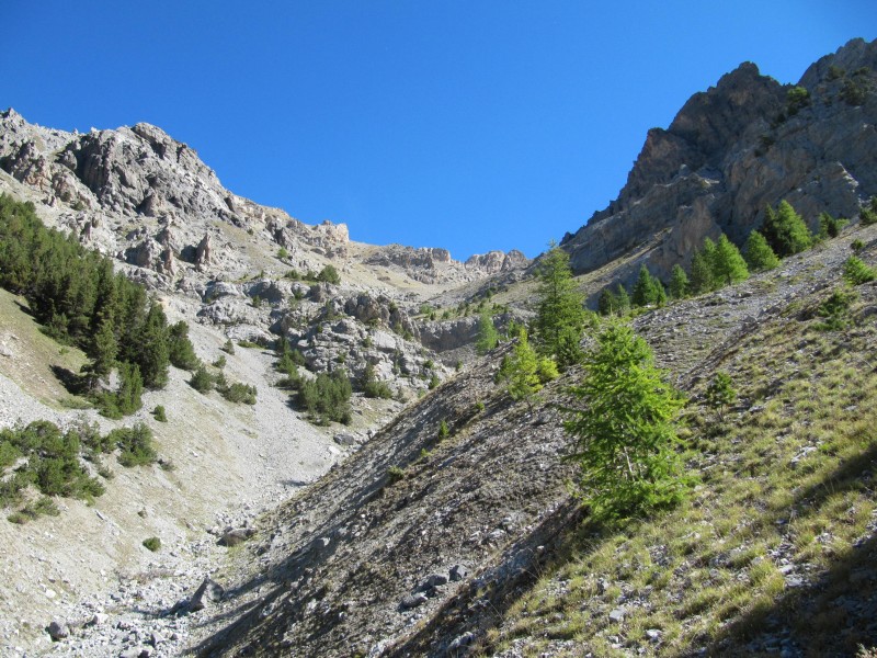 #3 ambiance sauvage : garantie ambiance sauvage : garantie