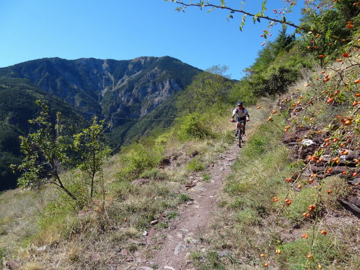 #15 Descente sur St-Sauveur : Le haut, tranquille. Descente sur St-Sauveur : Le haut, tranquille.