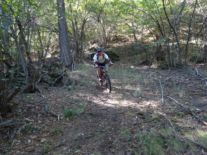 #12 Sentier des Tiecs : Sous-bois souple. Sentier des Tiecs : Sous-bois souple.