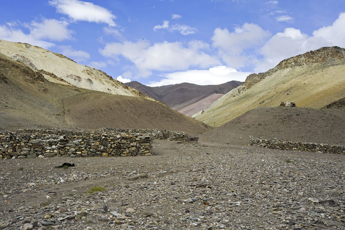 Rupshu : 1ère étape : Abris de Sumdo, vallée de la Kyamri Togpo