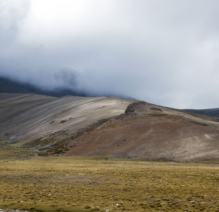 Rupshu : 2ème étape :  Alpage de Tisaling