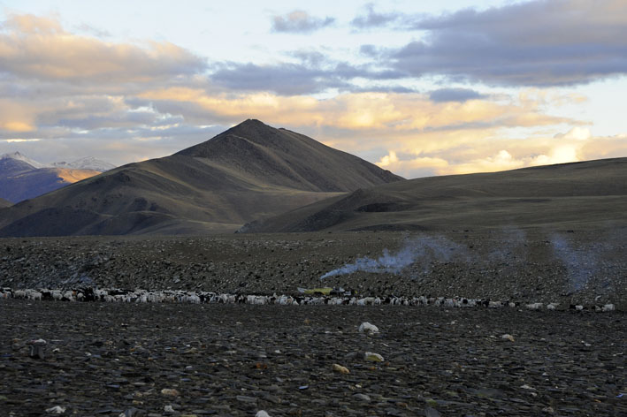 Rupshu : 6ème étape : Petit matin à Rajun Karu,