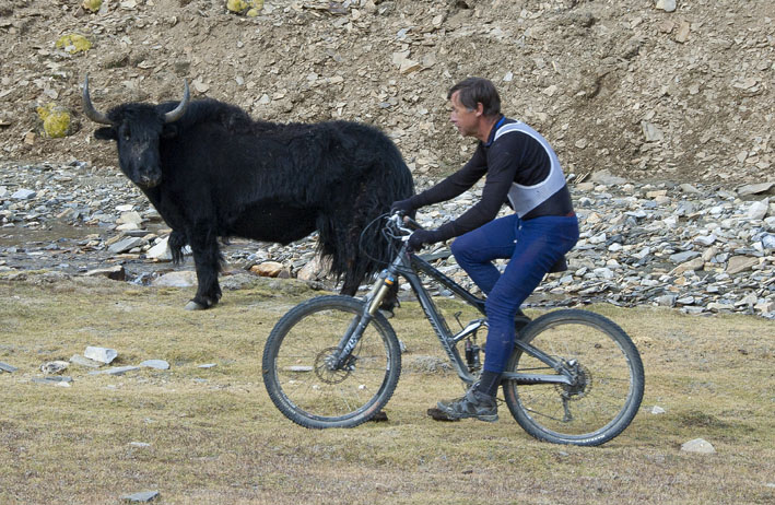 #67 Rupshu : 7ème étape : Rencontre dans la montée du yalung Nyau la Rupshu : 7ème étape : Rencontre dans la montée du yalung Nyau la
