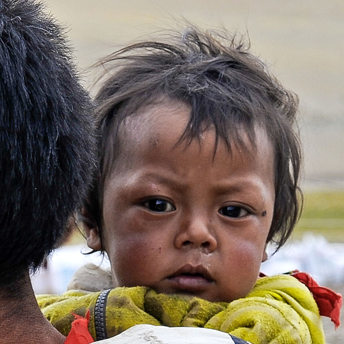 Rupshu : 5ème étape : Sous la tente des nomades de Rajun Karu