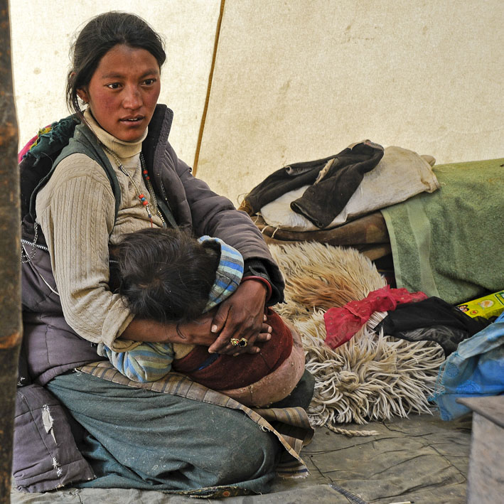 Rupshu : 5ème étape : Sous la tente des nomades de Rajun Karu