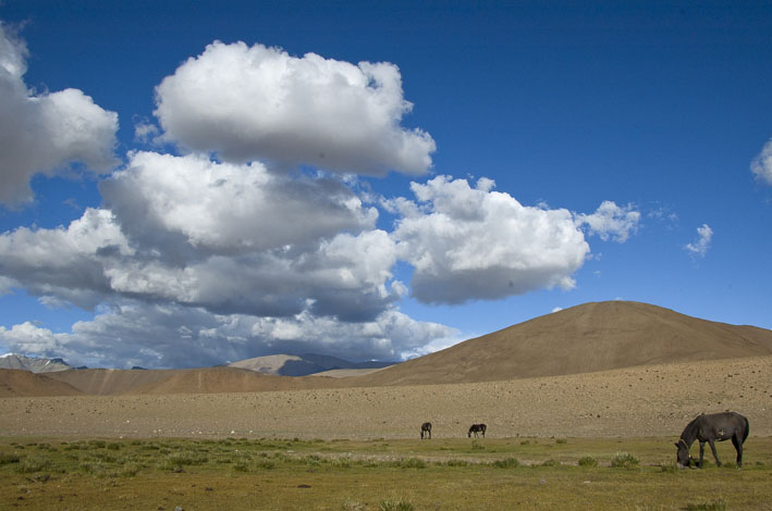 Rupshu : 4ème étape : Camp de Basa