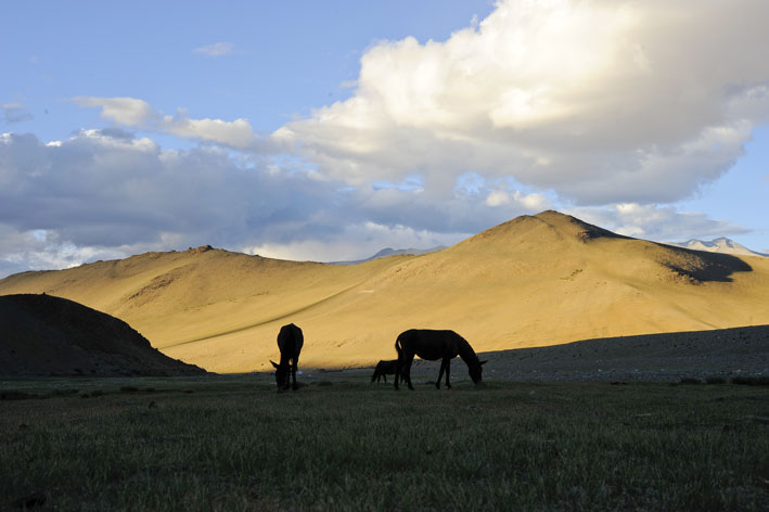 Rupshu : 4ème étape : Camp de Basa, coucher de soleil