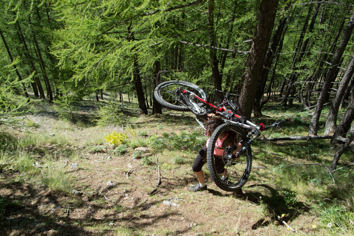 #9 Montée à Gafestrière : mode sanglier... enfin laie :-)) Montée à Gafestrière : mode sanglier... enfin laie :-))