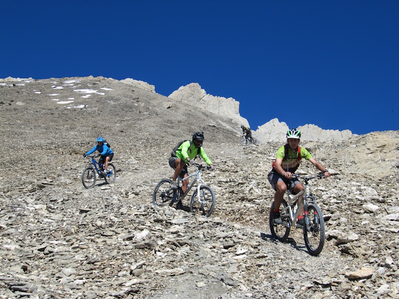 Pointe D'Aval : Lachez les fauves