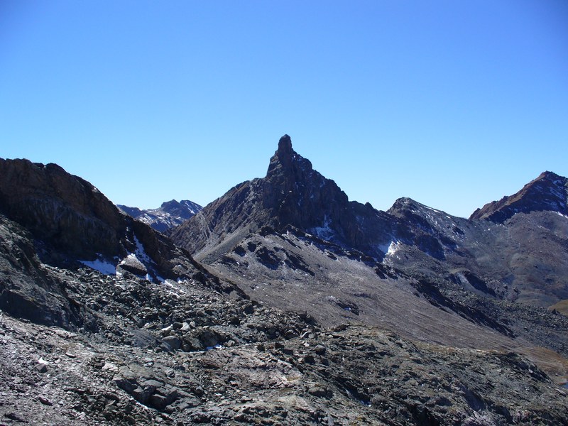 Sentier Montée : Omniprésente Tête Noire