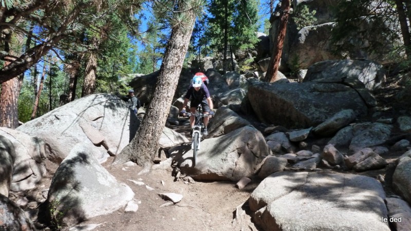 #1 Gas House trail : Patou dans un bon passage technique Gas House trail : Patou dans un bon passage technique