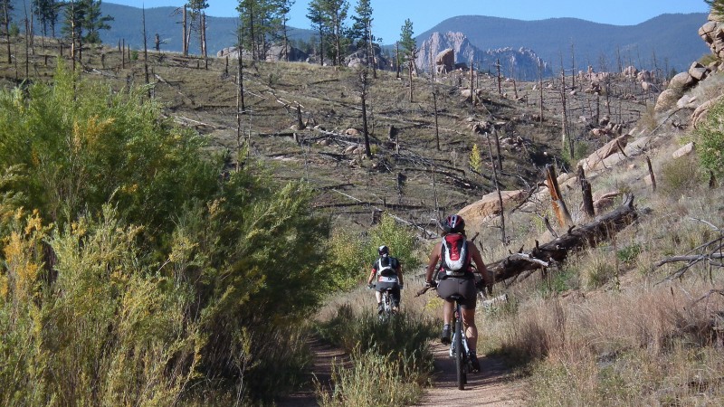 #9 Gillou et Chriss : Portion courte de piste évoluant dans ce qui reste de la forêt calcinée Gillou et Chriss : Portion courte de piste évoluant dans ce qui reste de la forêt calcinée