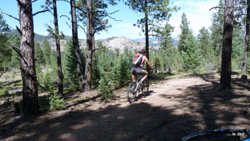 #2 Green Mountain trail : Chriss apprécie la fraicheur de la forêt Green Mountain trail : Chriss apprécie la fraicheur de la forêt