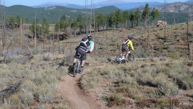 #7 Shingle Mil trail : Monsieur et Madame ont un fils :) Shingle Mil trail : Monsieur et Madame ont un fils :)