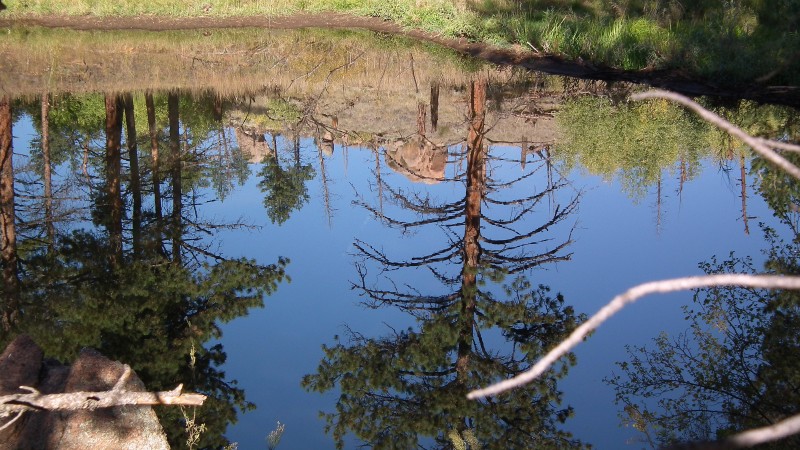 #10 Lac en forêt : De superbes paysages au détour des sentiers Lac en forêt : De superbes paysages au détour des sentiers
