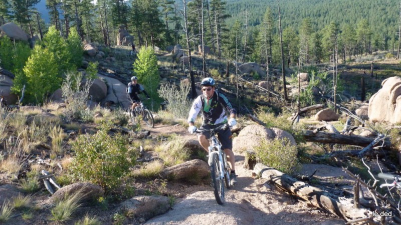 #6 Shingle Mil trail : On attaque notre séjour par un monotrace de ouf! Shingle Mil trail : On attaque notre séjour par un monotrace de ouf!