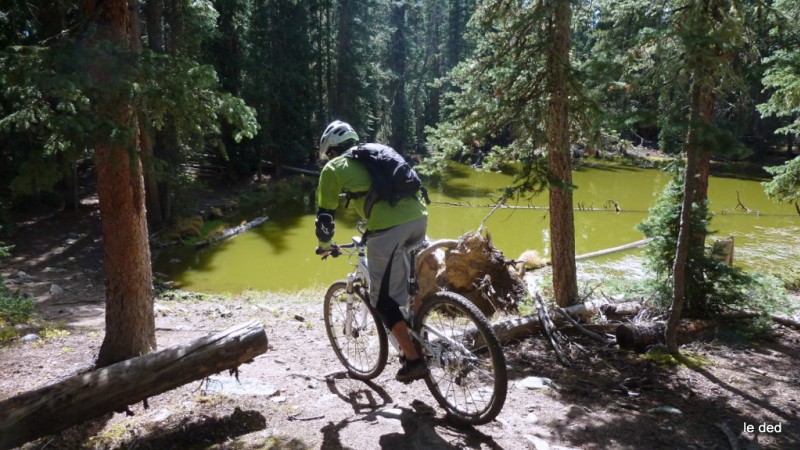 Yves : Joli petit coin en forêt au bord d'un lac vert moutarde