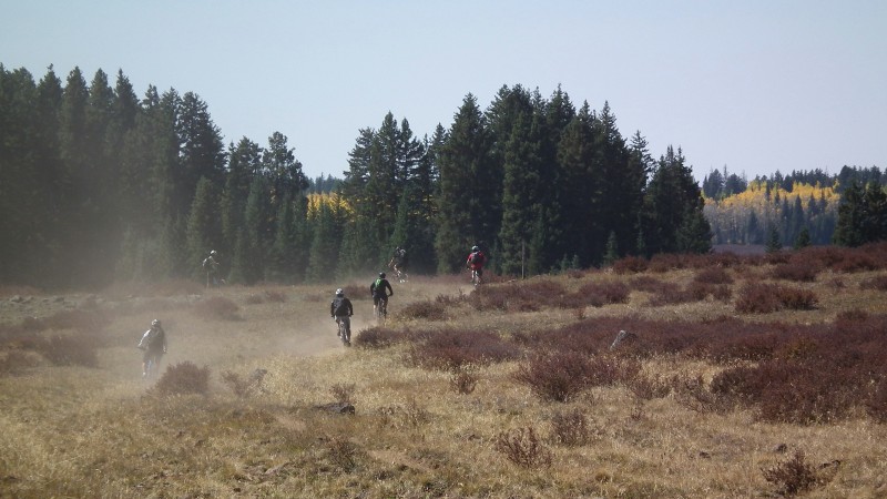 Rodéo drive : Un monotrace fait pour les vélos ou les chevaux