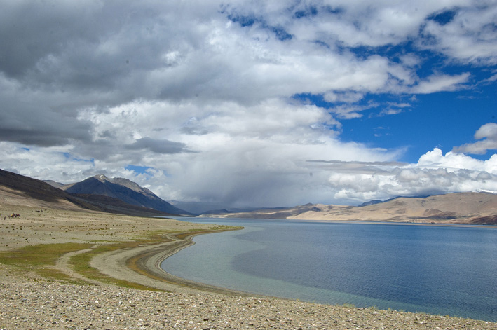 Tso Moriri : 8ème étape : Lac Tso Moriri