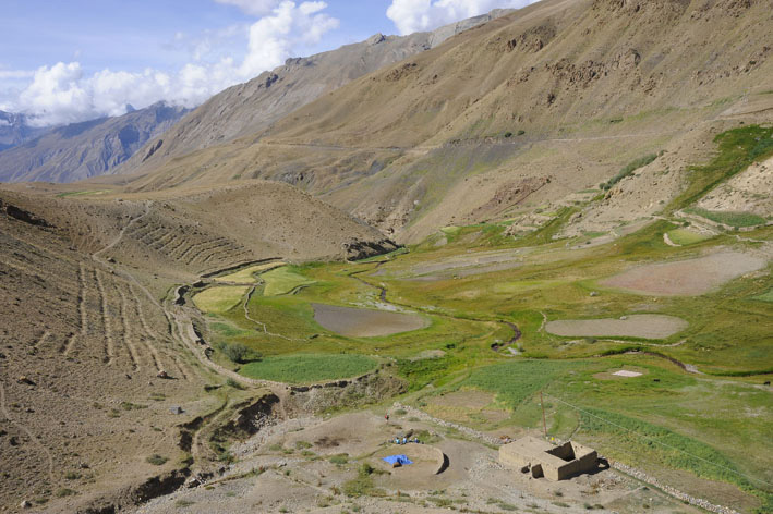 Spiti : 13ème étape : Les champs de Dumla, du vert après quatre jours de désert d'altitude.