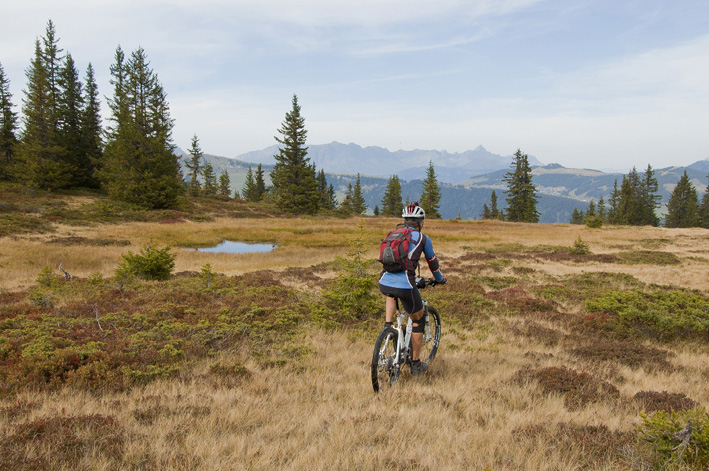 Roche Plane : Les tourbières vers le lac Couvert