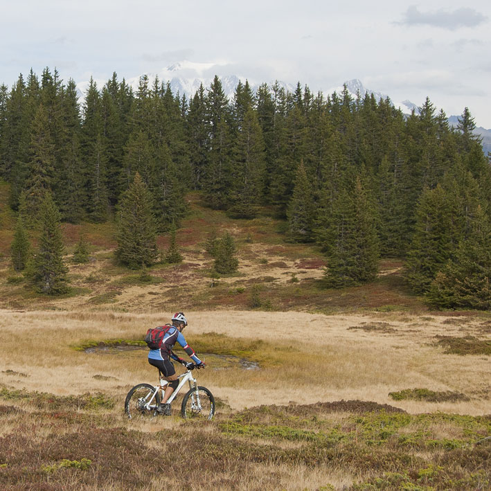 Roche Plane : Les tourbières vers le lac Couvert