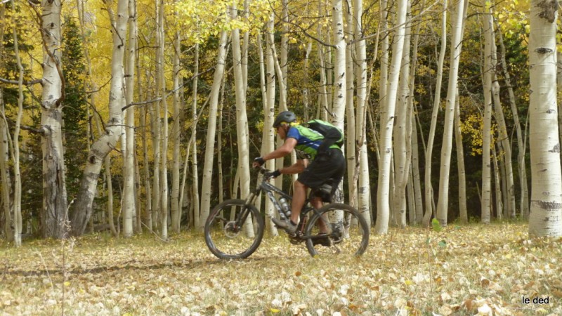 Buro pass : Henri. Allez au boulot!