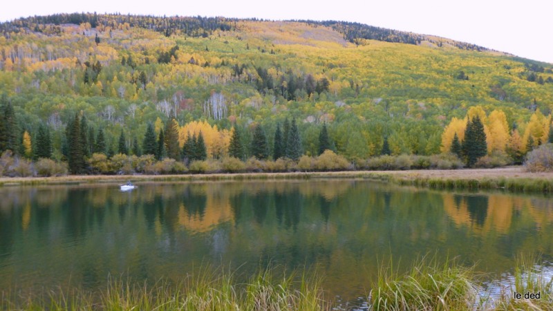 Lac Warner : entouré d'une forêt de pins, chênes et bouleaux