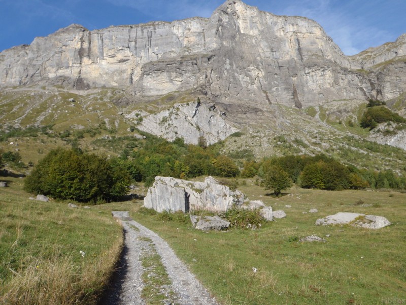 #1 La Pierre Fendue : Souvent des chamois le long de L La Pierre Fendue : Souvent des chamois le long de L'Arête de la Besse.