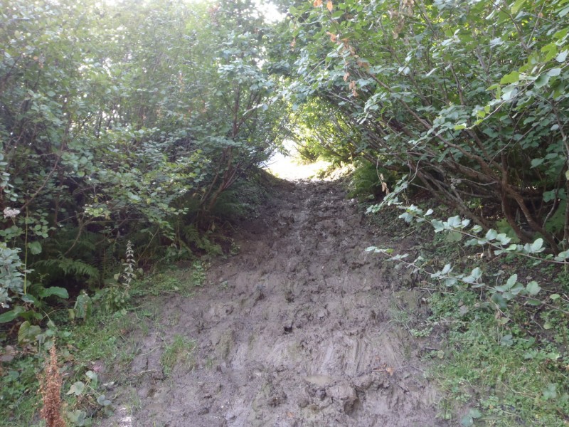 #4 Col de Niard : Le super tapis vert est tout caca. Col de Niard : Le super tapis vert est tout caca.