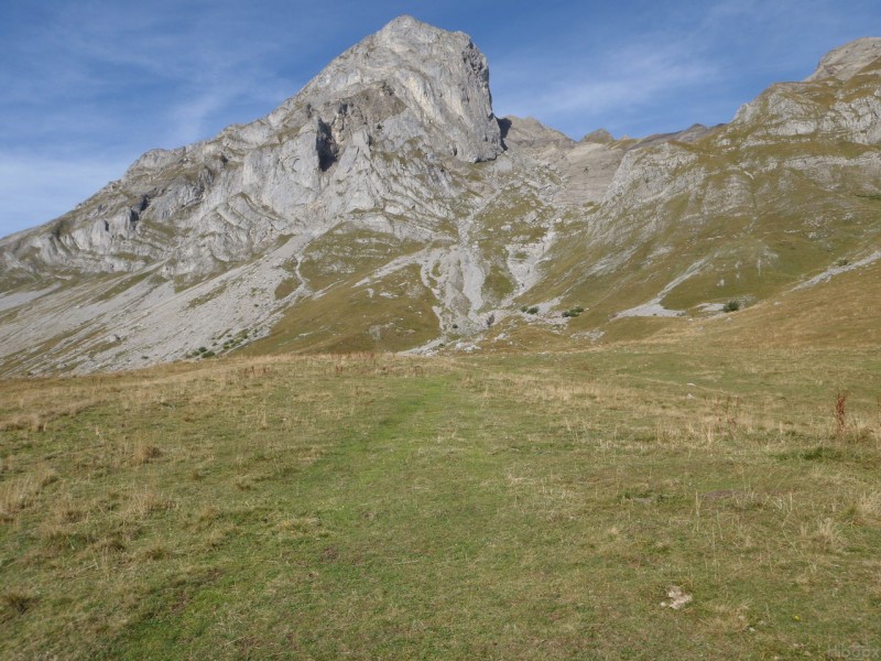 #3 Col de Niard : Super tapis vert. Col de Niard : Super tapis vert.