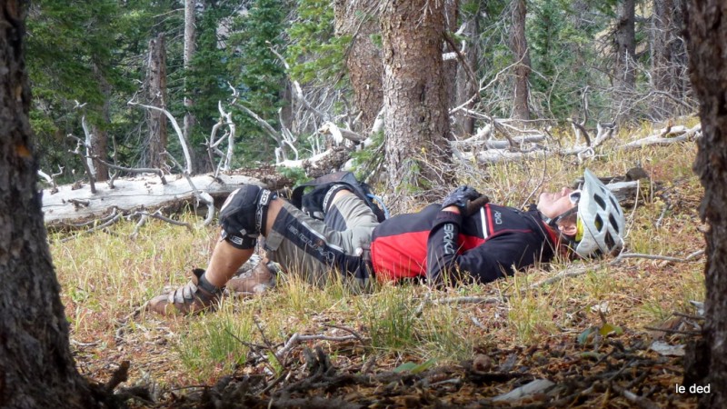 #17 Mountain Engineer trail : Sieste obligatoire et pourtant ce n Mountain Engineer trail : Sieste obligatoire et pourtant ce n'est pas le genre de la maison :)