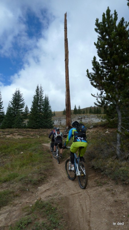 #4 Colorado trail : Qq arbres foudroyés nous font penser qu Colorado trail : Qq arbres foudroyés nous font penser qu'il ne faut pas trainer