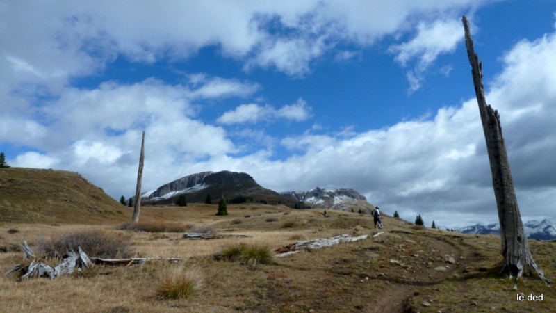 #5 Colorado trail : bof! Colorado trail : bof!