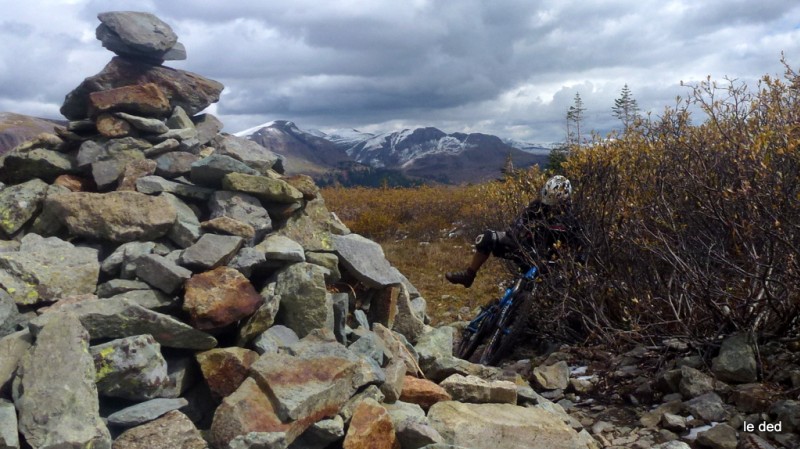 #9 Mountain Engineer trail : Pris sur le fait par Patricia, je m Mountain Engineer trail : Pris sur le fait par Patricia, je m'écroule de fatigue et sommeil dans les buissons ...